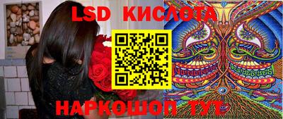 гидра Кандалакша