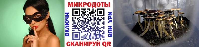 Галлюциногенные грибы мухоморы  Фролово 